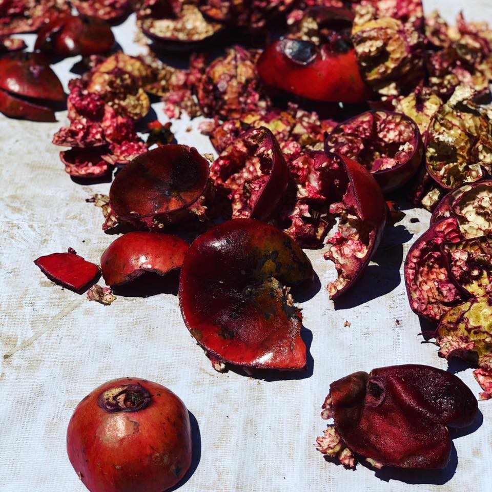 Ayurvedic Perspective of Pomegranates Lakshmi Ayurveda