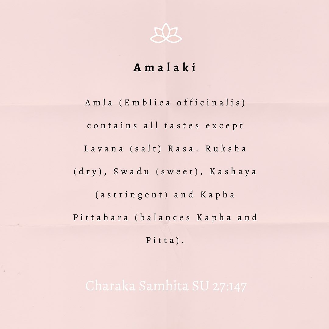 Classical Quote about Amalaki