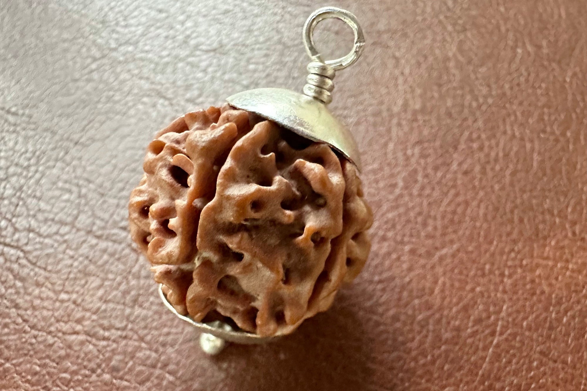 Genuine Rudraksha Beads