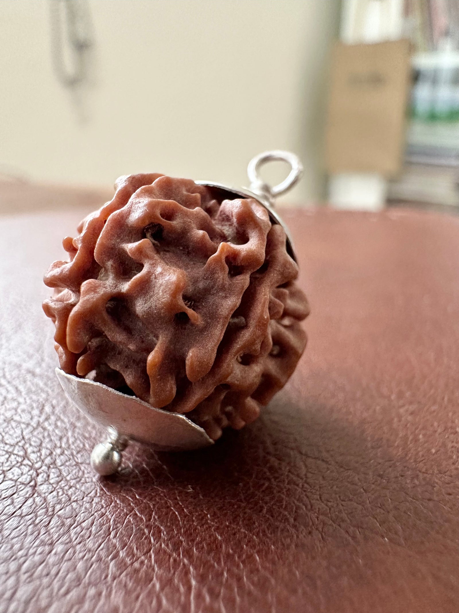 Rudraksha - 5 Mukhi