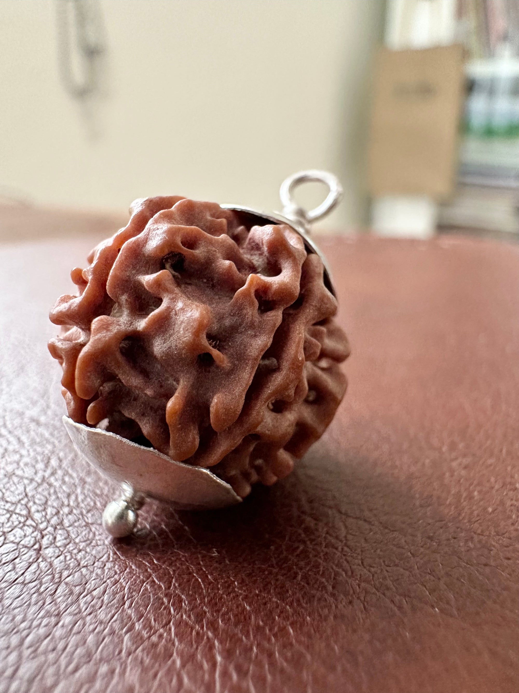 Rudraksha - 5 Mukhi